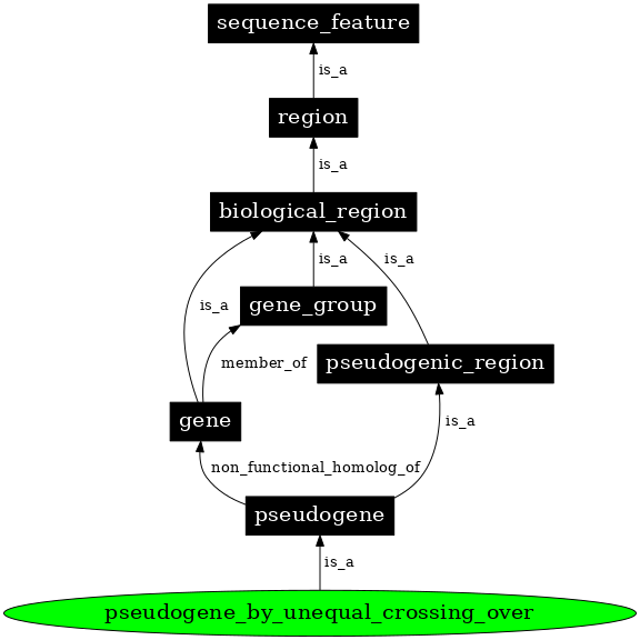 Graph image for SO:0000044