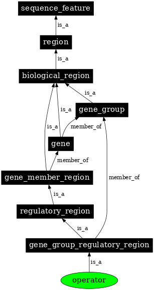 Graph image for SO:0000057