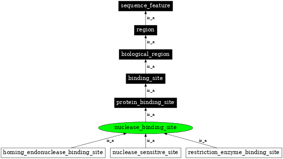 Graph image for SO:0000059