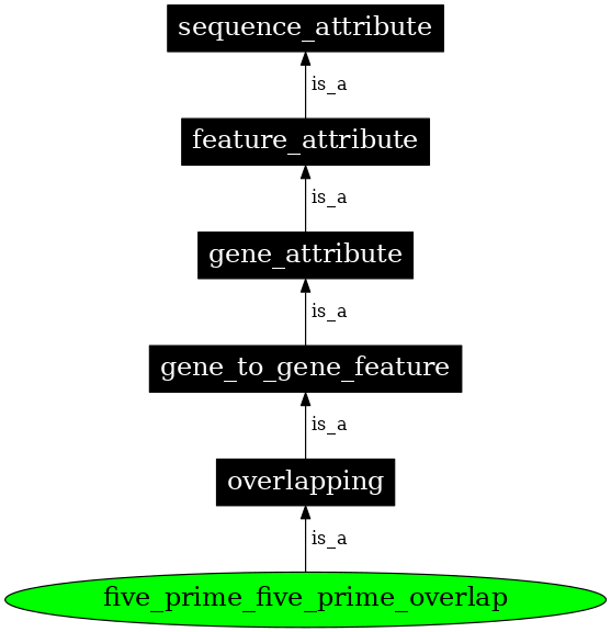 Graph image for SO:0000074