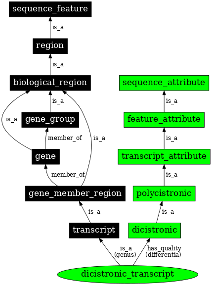 Graph image for SO:0000079