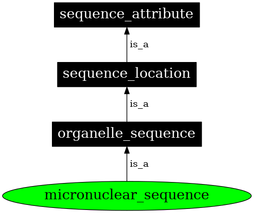 Graph image for SO:0000084