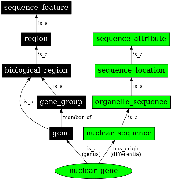 Graph image for SO:0000087