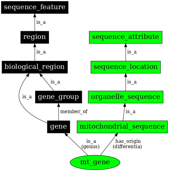 Graph image for SO:0000088