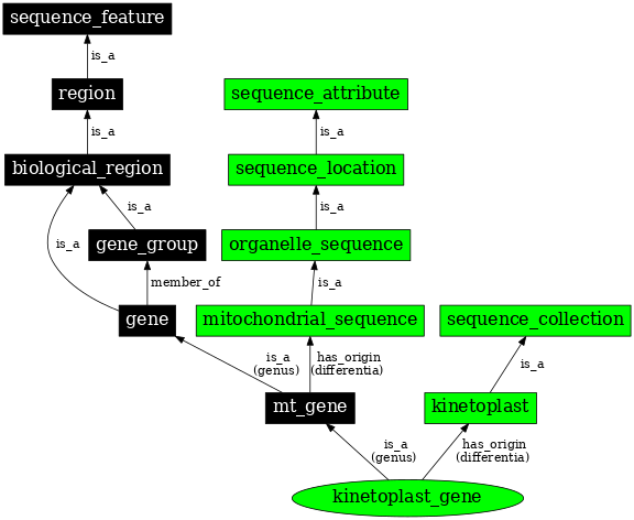 Graph image for SO:0000089