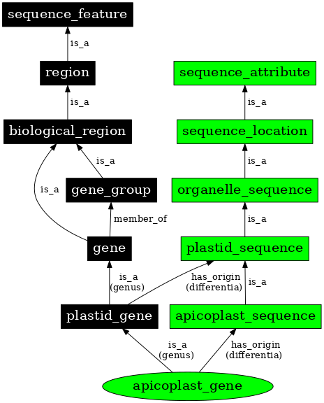 Graph image for SO:0000091