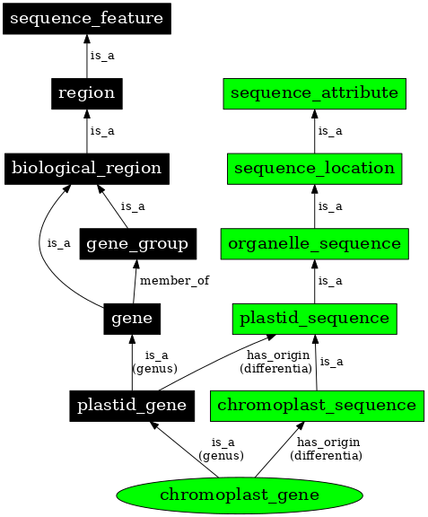 Graph image for SO:0000093