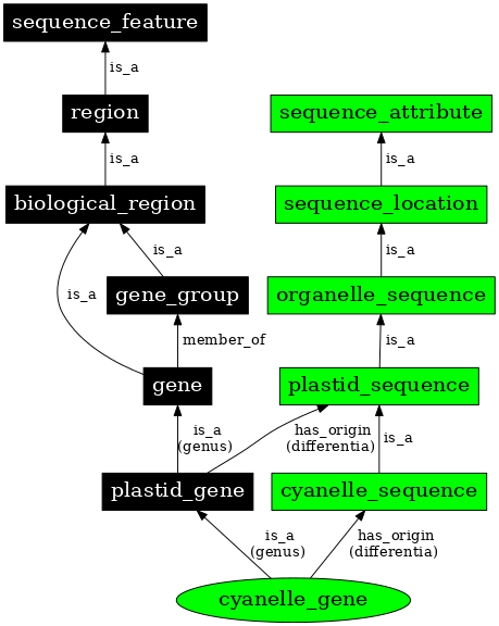 Graph image for SO:0000094