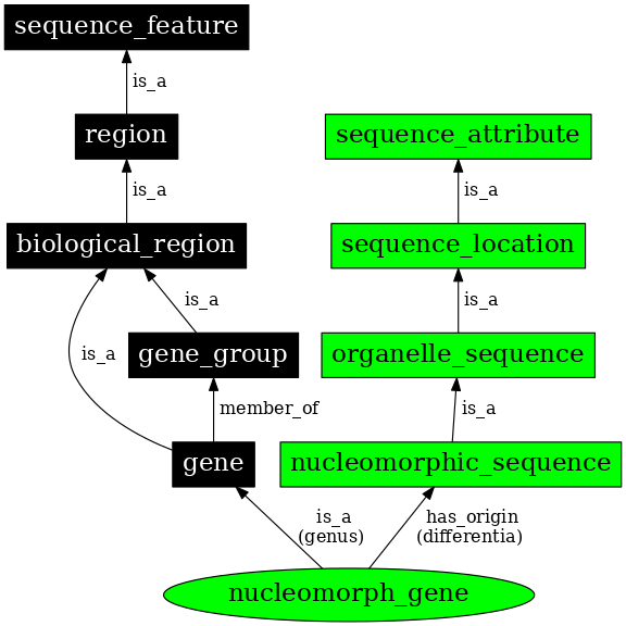 Graph image for SO:0000097