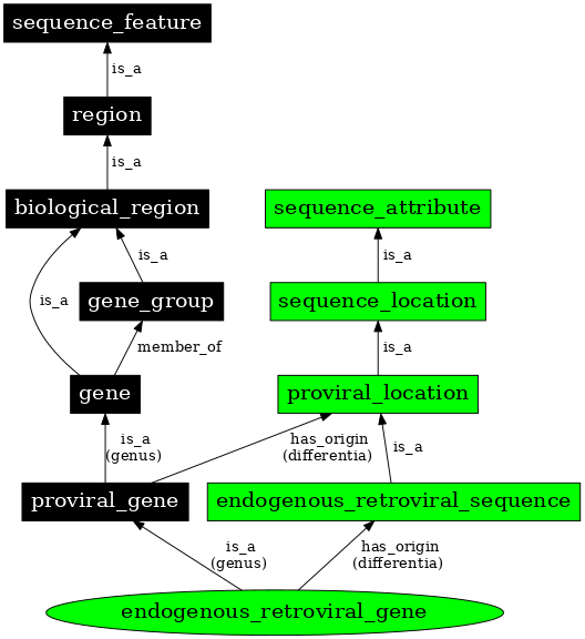 Graph image for SO:0000100