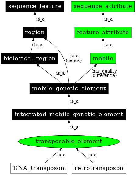 Graph image for SO:0000101