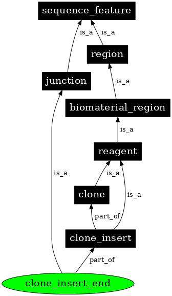 Graph image for SO:0000103