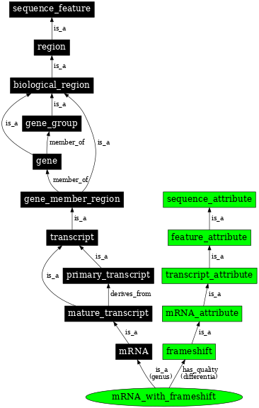 Graph image for SO:0000108