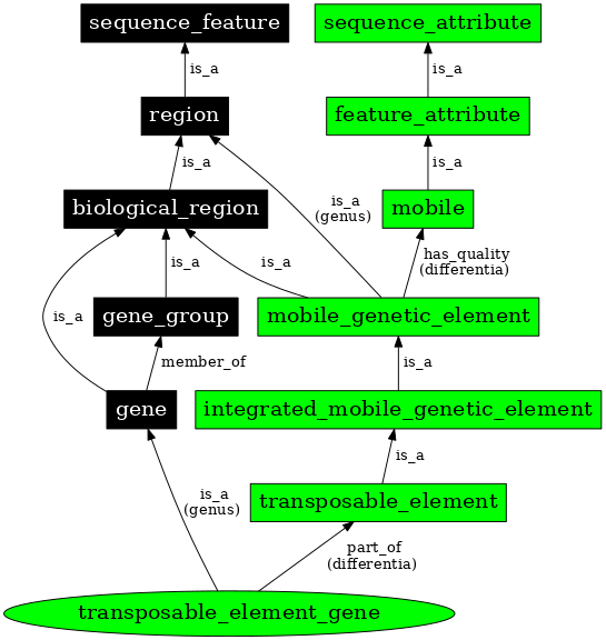 Graph image for SO:0000111