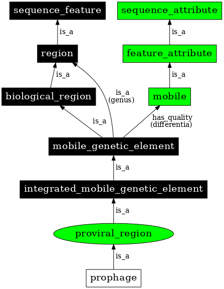 Graph image for SO:0000113