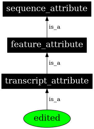 Graph image for SO:0000116