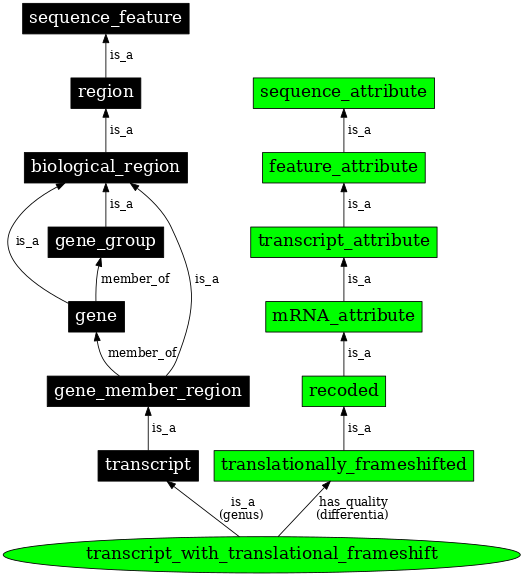 Graph image for SO:0000118