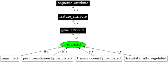 Graph image for SO:0000119