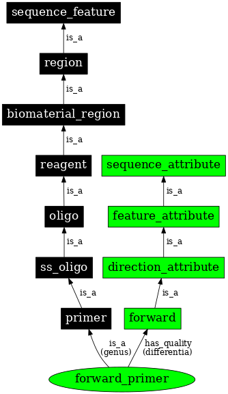 Graph image for SO:0000121