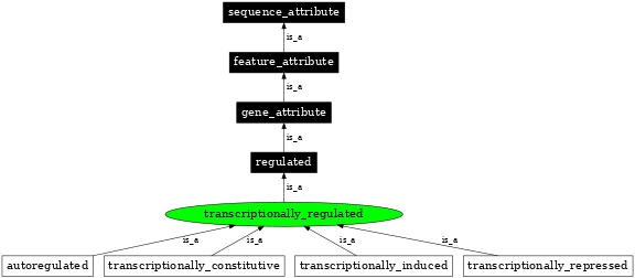 Graph image for SO:0000123