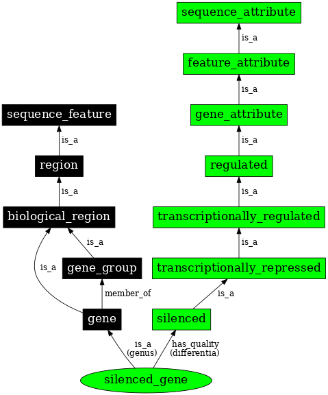 Graph image for SO:0000127