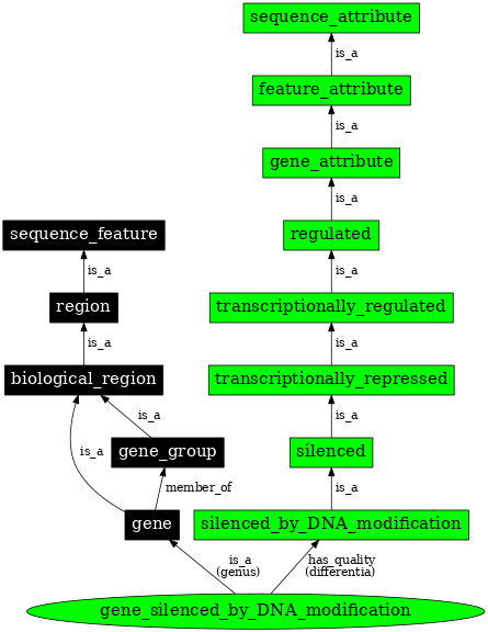 Graph image for SO:0000128