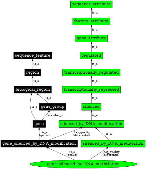 Graph image for SO:0000129