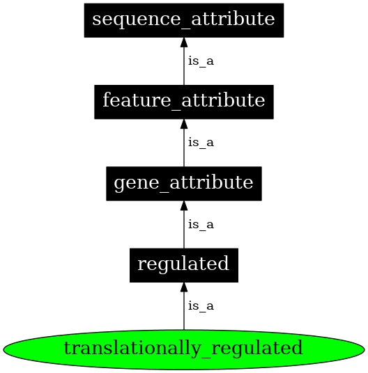 Graph image for SO:0000131