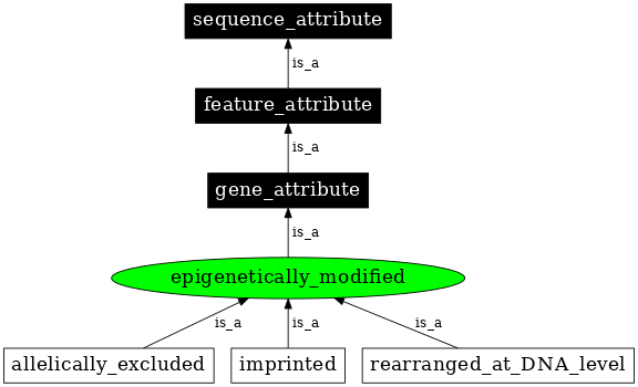 Graph image for SO:0000133