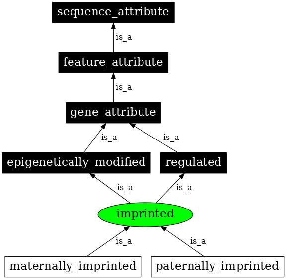 Graph image for SO:0000134