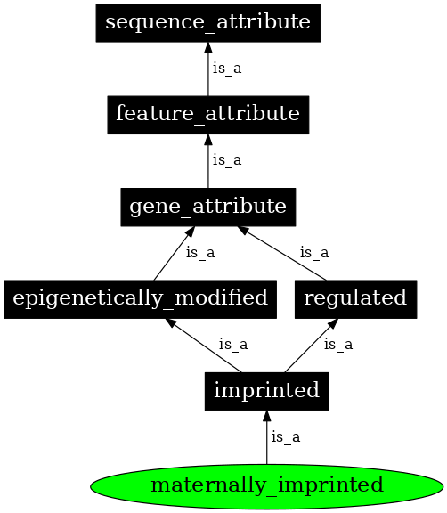 Graph image for SO:0000135