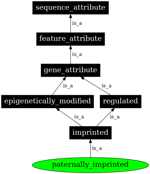 Graph image for SO:0000136