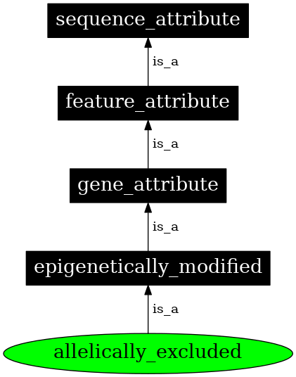 Graph image for SO:0000137