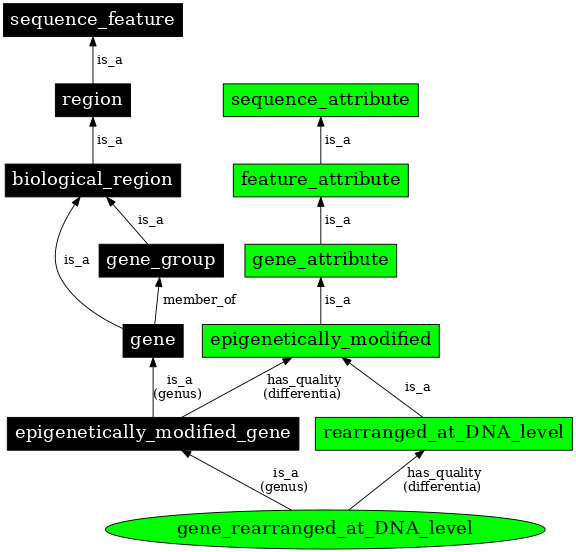 Graph image for SO:0000138