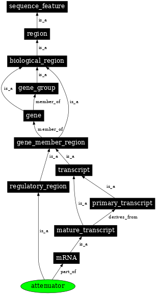 Graph image for SO:0000140