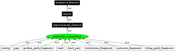 Graph image for SO:0000143