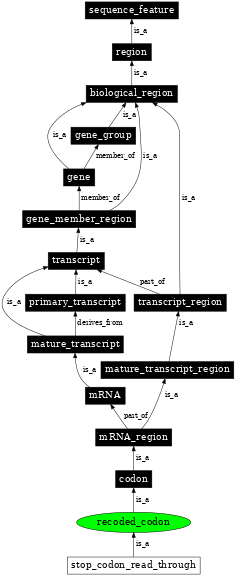 Graph image for SO:0000145