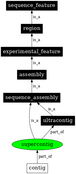 Graph image for SO:0000148