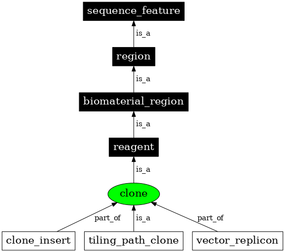 Graph image for SO:0000151