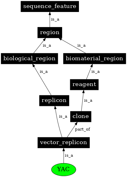 Graph image for SO:0000152