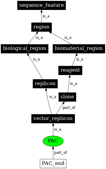 Graph image for SO:0000154