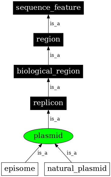 Graph image for SO:0000155