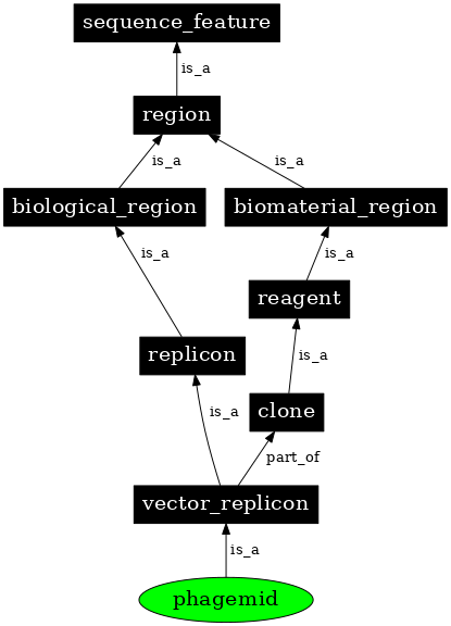 Graph image for SO:0000157