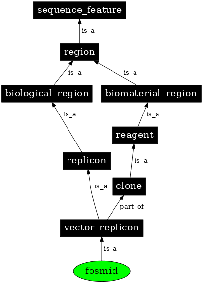 Graph image for SO:0000158