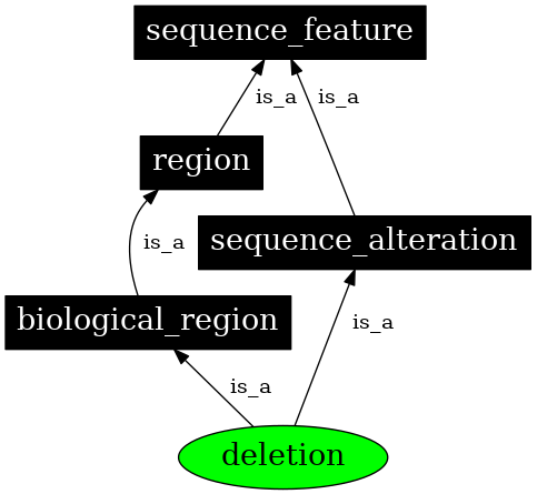 Graph image for SO:0000159