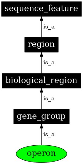 Graph image for SO:0000178