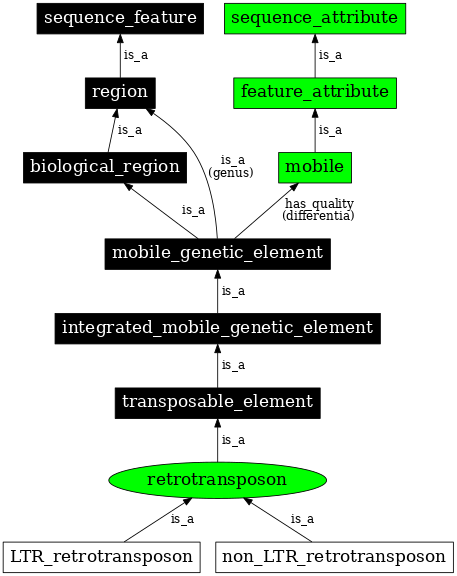 Graph image for SO:0000180