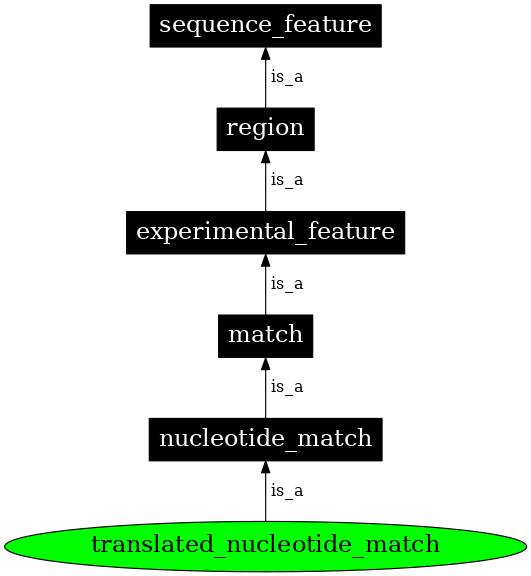 Graph image for SO:0000181