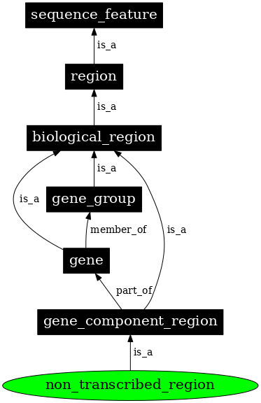 Graph image for SO:0000183