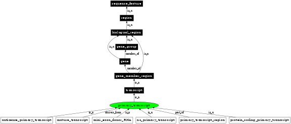 Graph image for SO:0000185